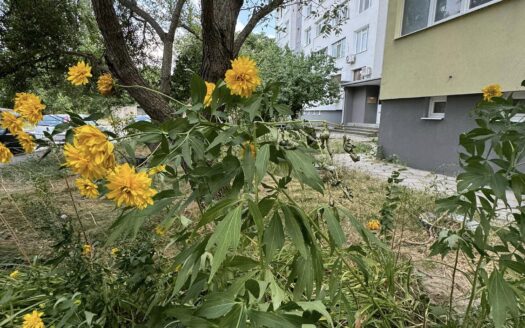ЧЕТИРИСТАЕН ТУХЛЕН АПАРТАМЕН до кооперативният пазар ,гр.Търговище ПРОДАЖБА
