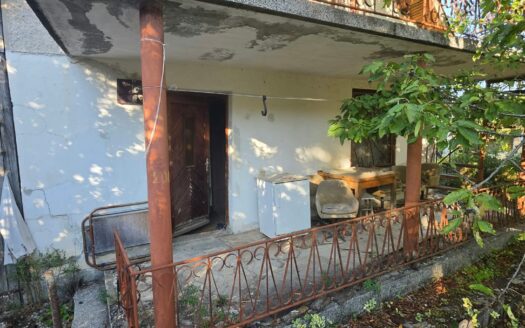 Вила с лозе, мест. Кованлъка